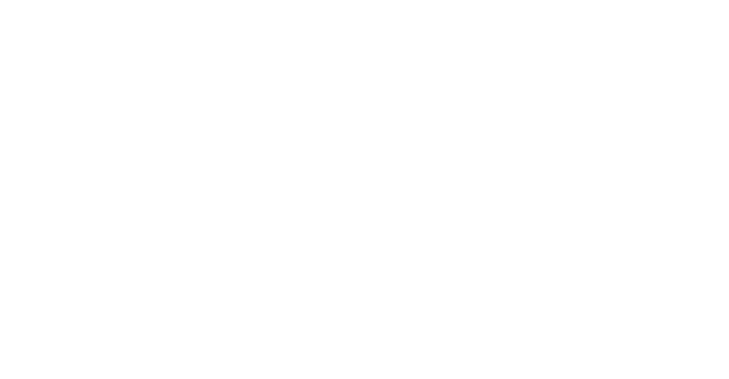 nine-tail-logo-vertical